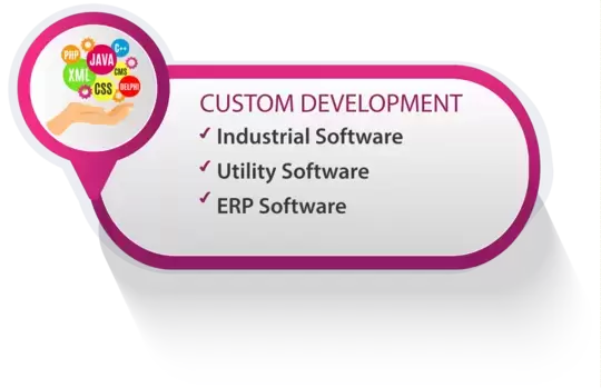 Custom Software Development